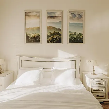 Шале Wonder Поляница