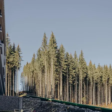 Wonder Шале Поляница